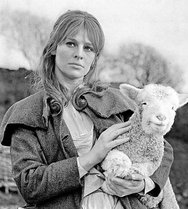 Far from the Madding Crowd (1967)