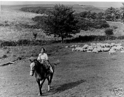 Far from the Madding Crowd (1967)