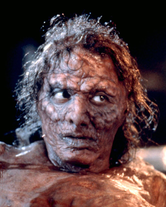 The Fly
