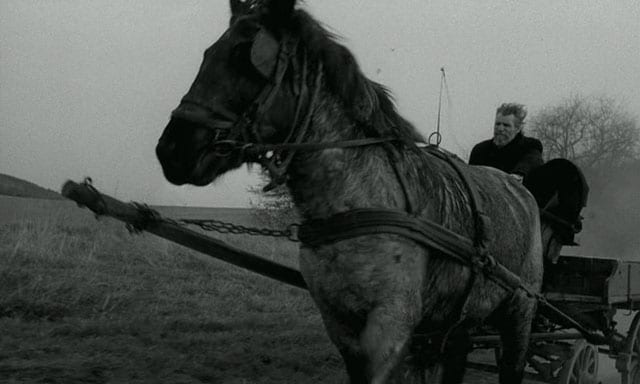 The Turin Horse (2011)