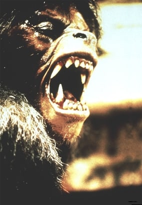 An American Werewolf in London An American Werewolf in London
