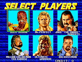 WWF Wrestlefest