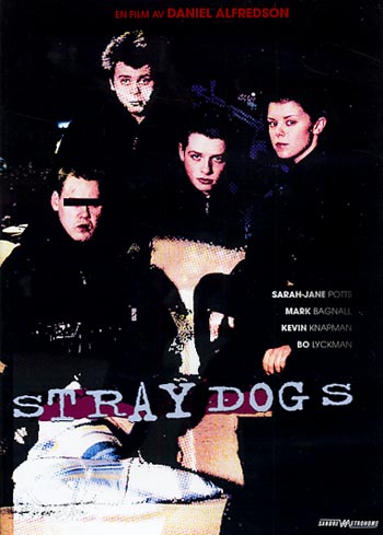 Straydogs