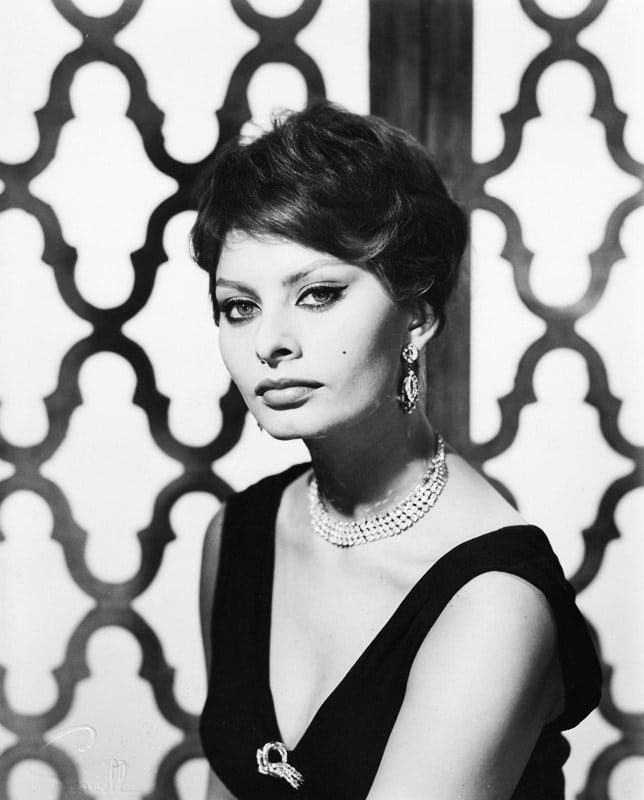 Picture of Sophia Loren