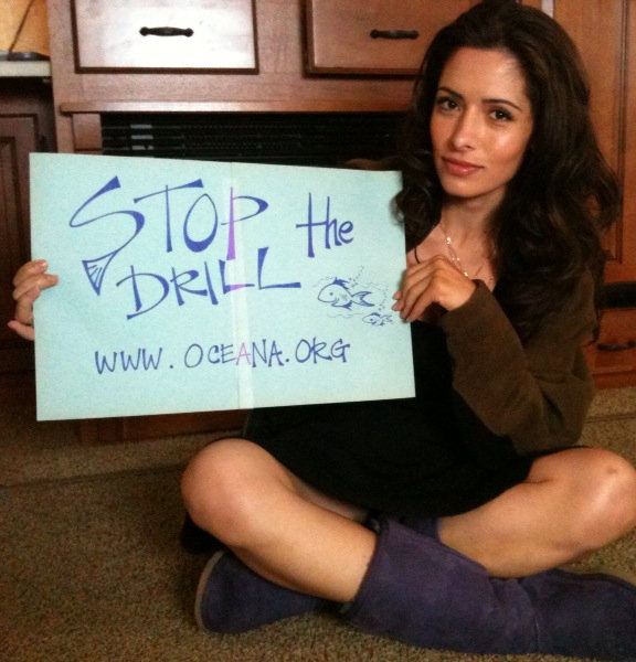 Sarah Shahi