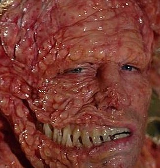 Slither Slither