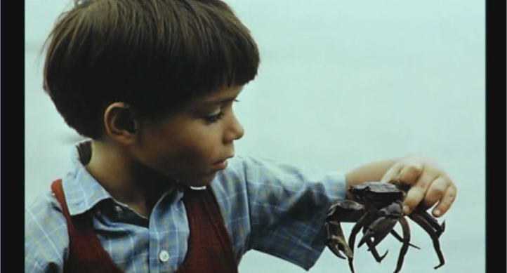 Mon oncle d'Amérique (1980) Mon oncle d'Amérique (1980)