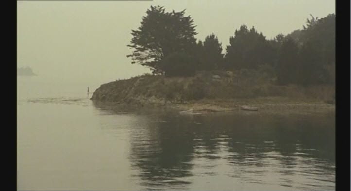 Mon oncle d'Amérique (1980)