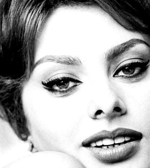 Sophia Loren