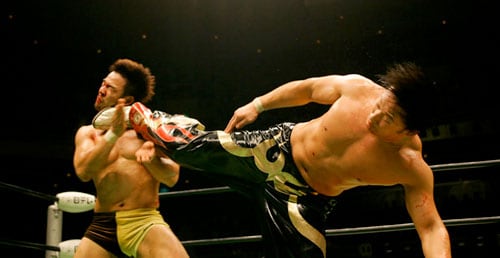 Naomichi Marufuji