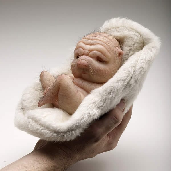 Patricia Piccinini