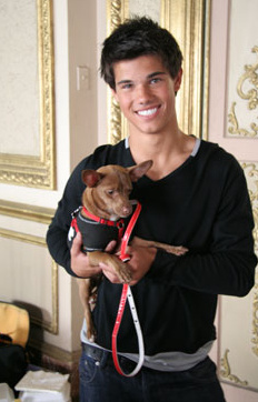 Taylor Lautner