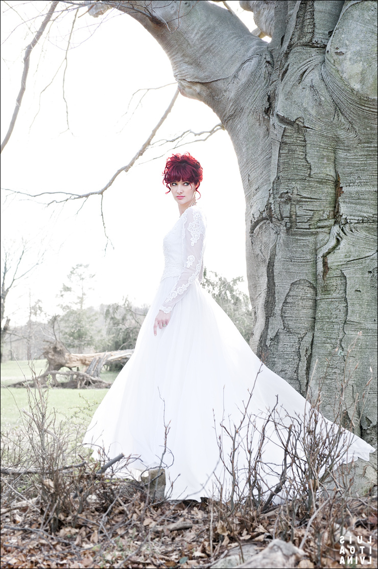 Susan Coffey Susan Coffey