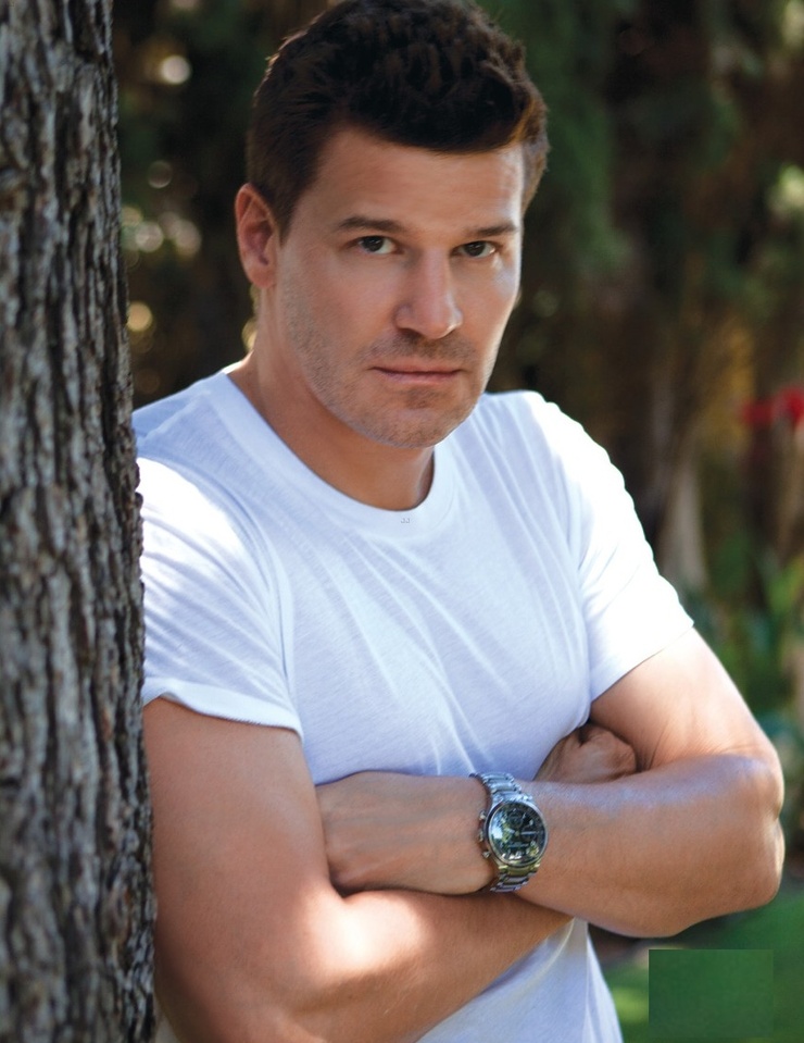 David Boreanaz