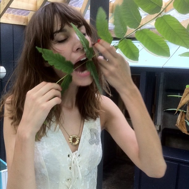 Alexa Chung
