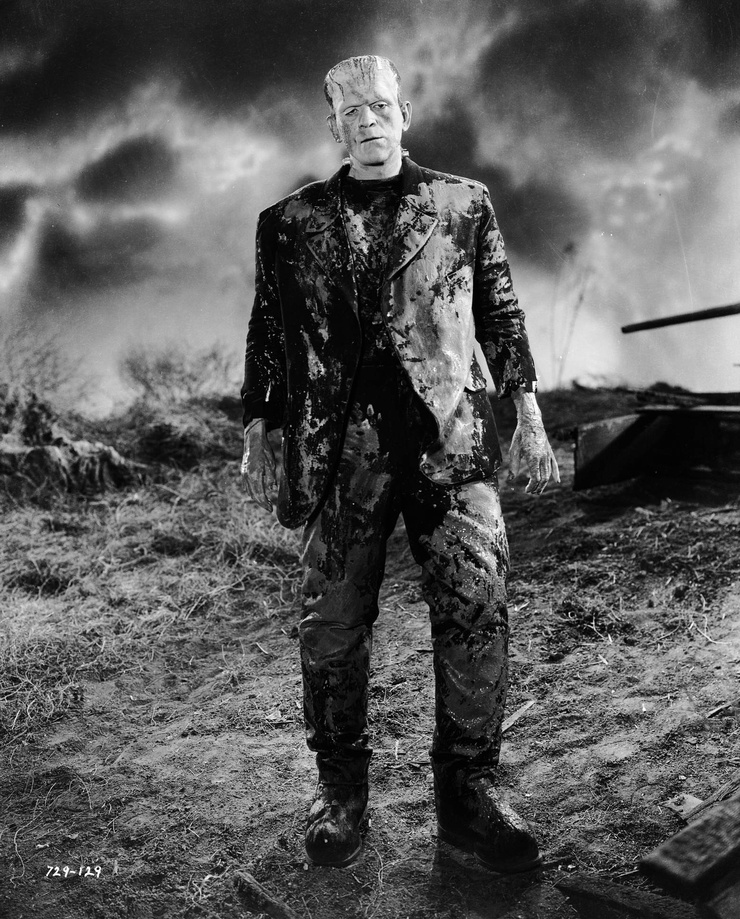 The Bride of Frankenstein The Bride of Frankenstein