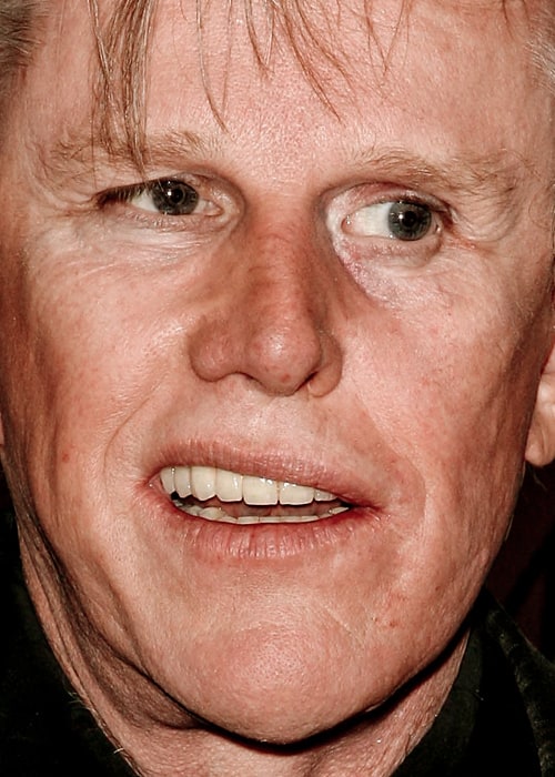 Gary Busey