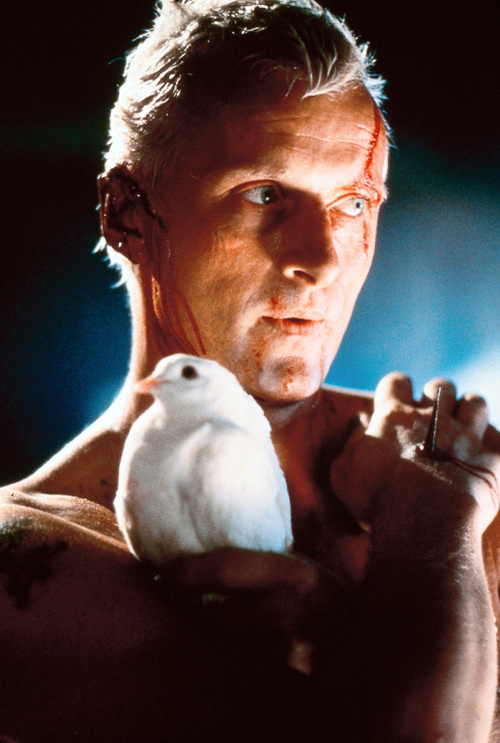 Rutger Hauer