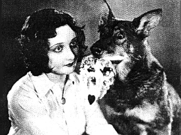 Rin Tin Tin