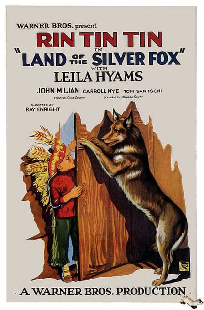 Land of the Silver Fox