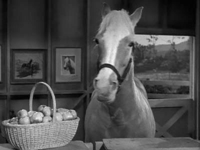 Mister Ed