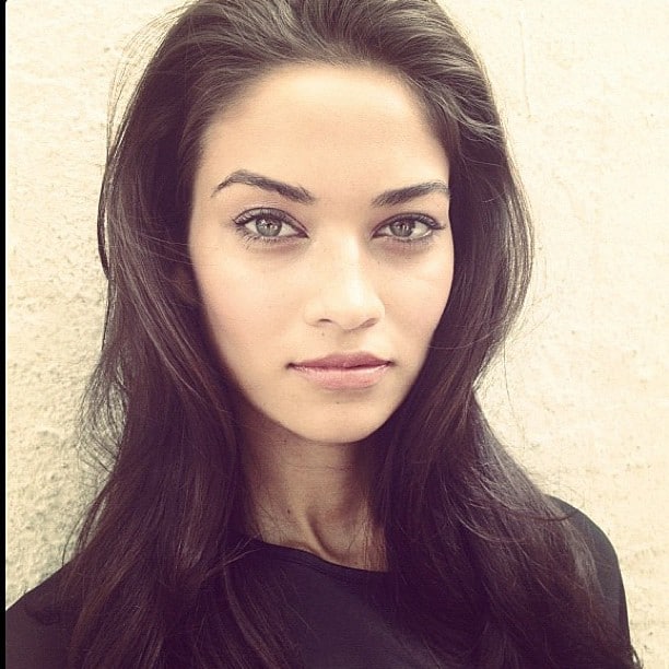 Picture of Shanina Shaik