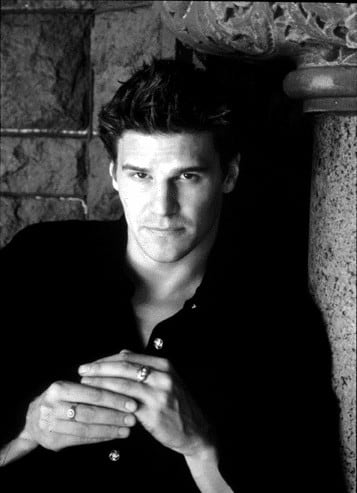 David Boreanaz