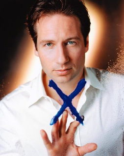 David Duchovny David Duchovny