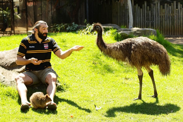 Sébastien Chabal