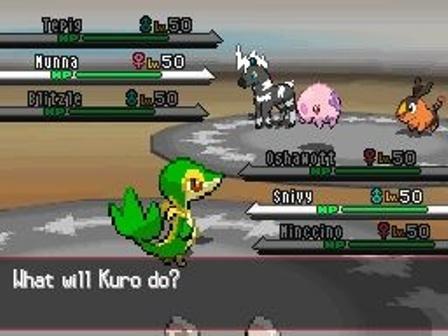 Pokémon Black Version