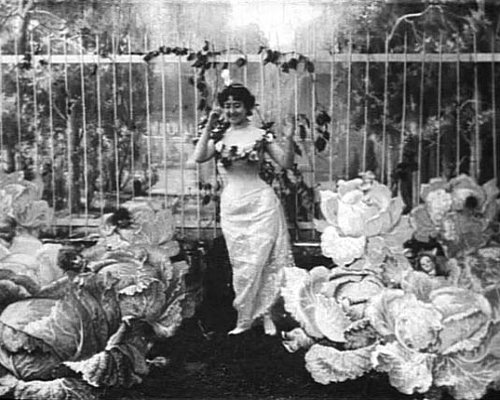 The Cabbage Fairy (1896) The Cabbage Fairy (1896)