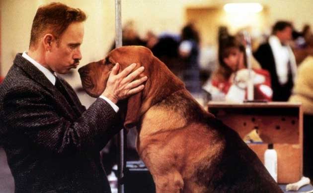 Best in Show Best in Show