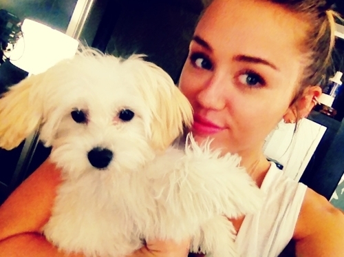 Miley Cyrus
