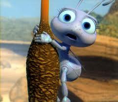 A Bug's Life