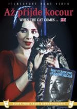 When the Cat Comes (The Cassandra Cat)