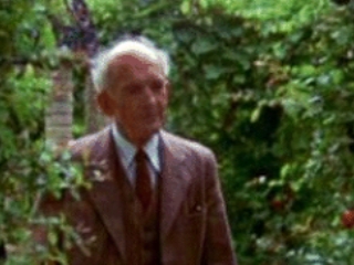 Peter Copley