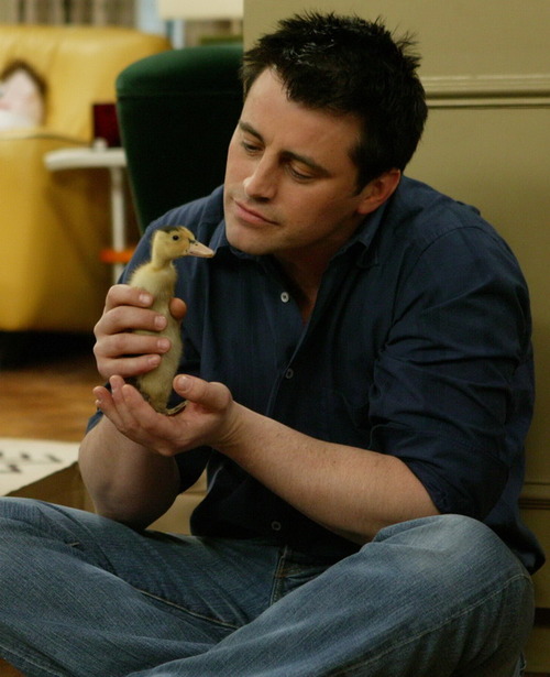 Matt LeBlanc Matt LeBlanc