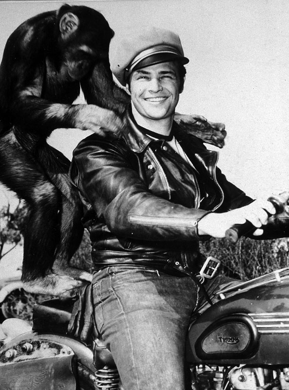 The Wild One (1953) The Wild One (1953)
