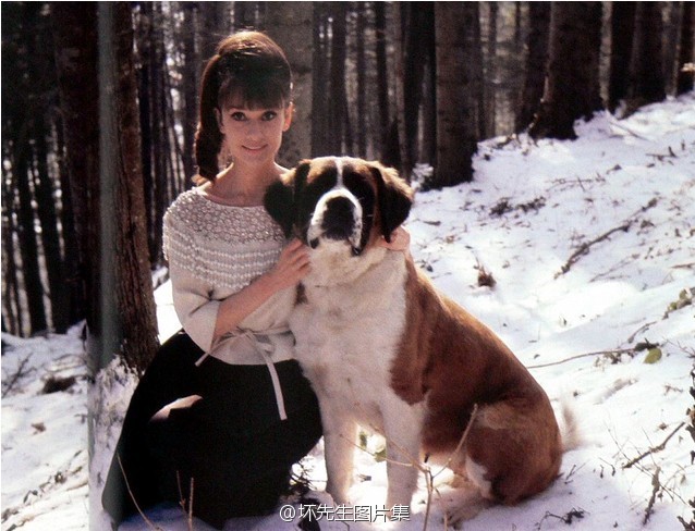 Audrey Hepburn