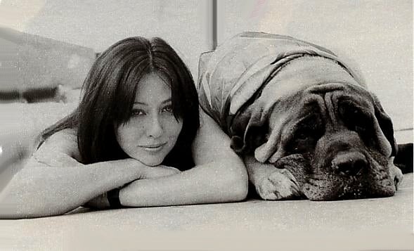 Shannen Doherty Shannen Doherty