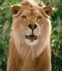 George Of The Jungle 2