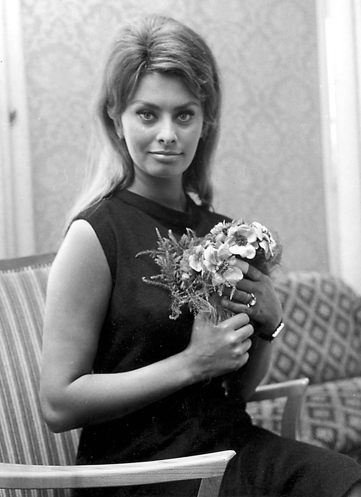 Sophia Loren