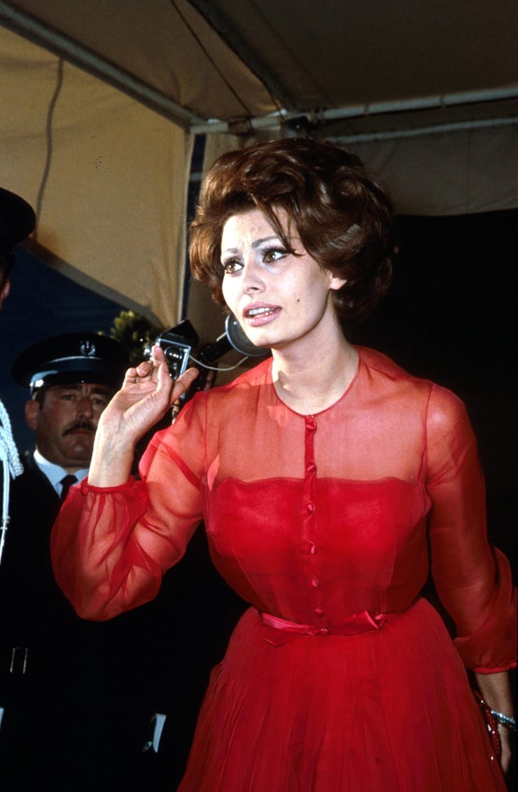 Picture Of Sophia Loren