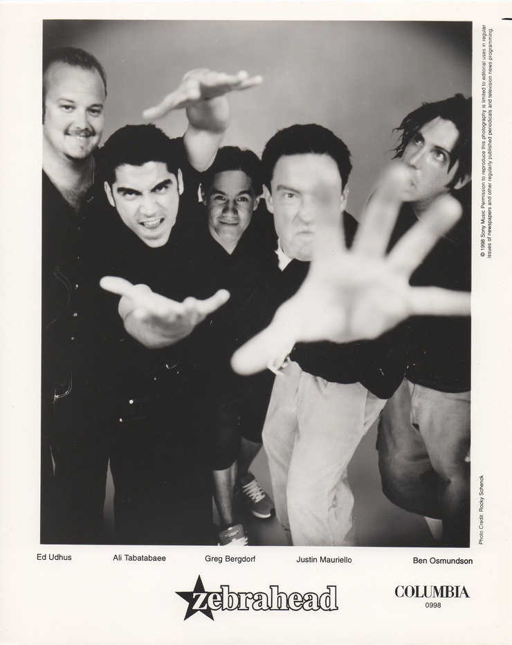 Zebrahead