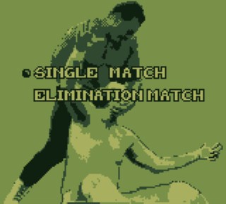 WCW: The Main Event