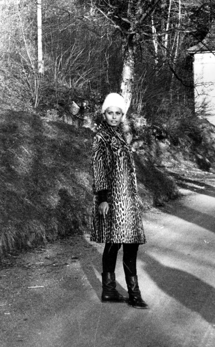 Sophia Loren