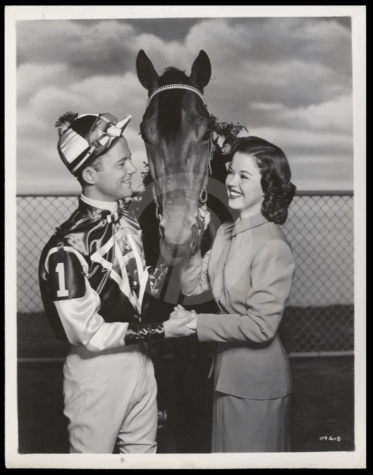 The Story of Seabiscuit The Story of Seabiscuit