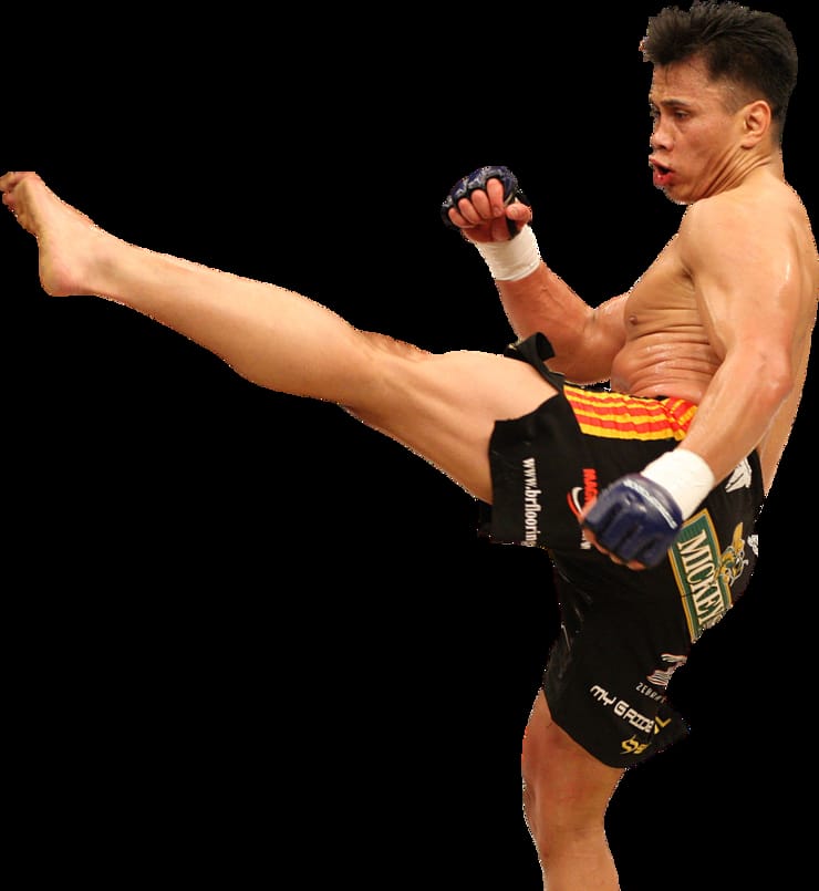 Cung Le