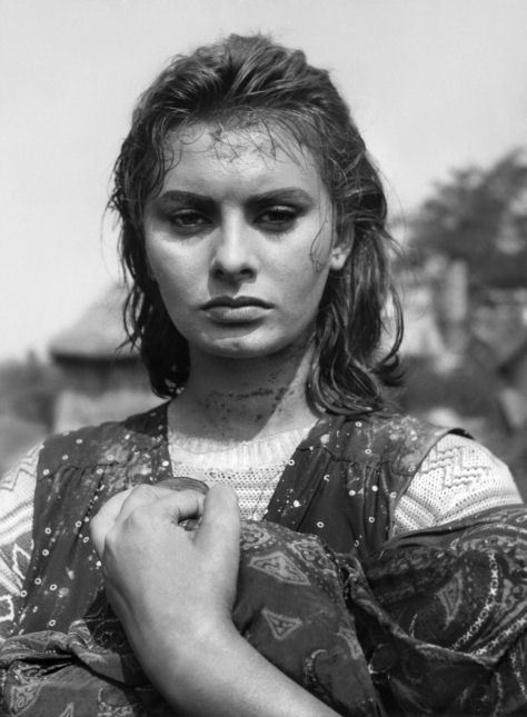 Sophia Loren