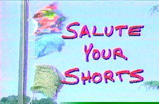 Salute Your Shorts